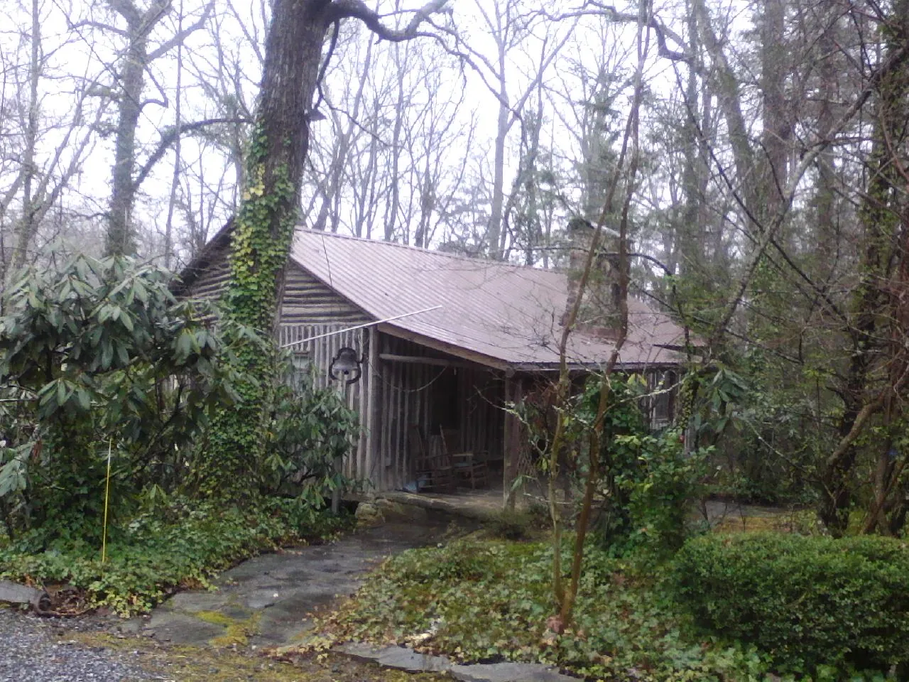 Weathered metal roof on an old board sided cabin in the woods in Angels Camp
