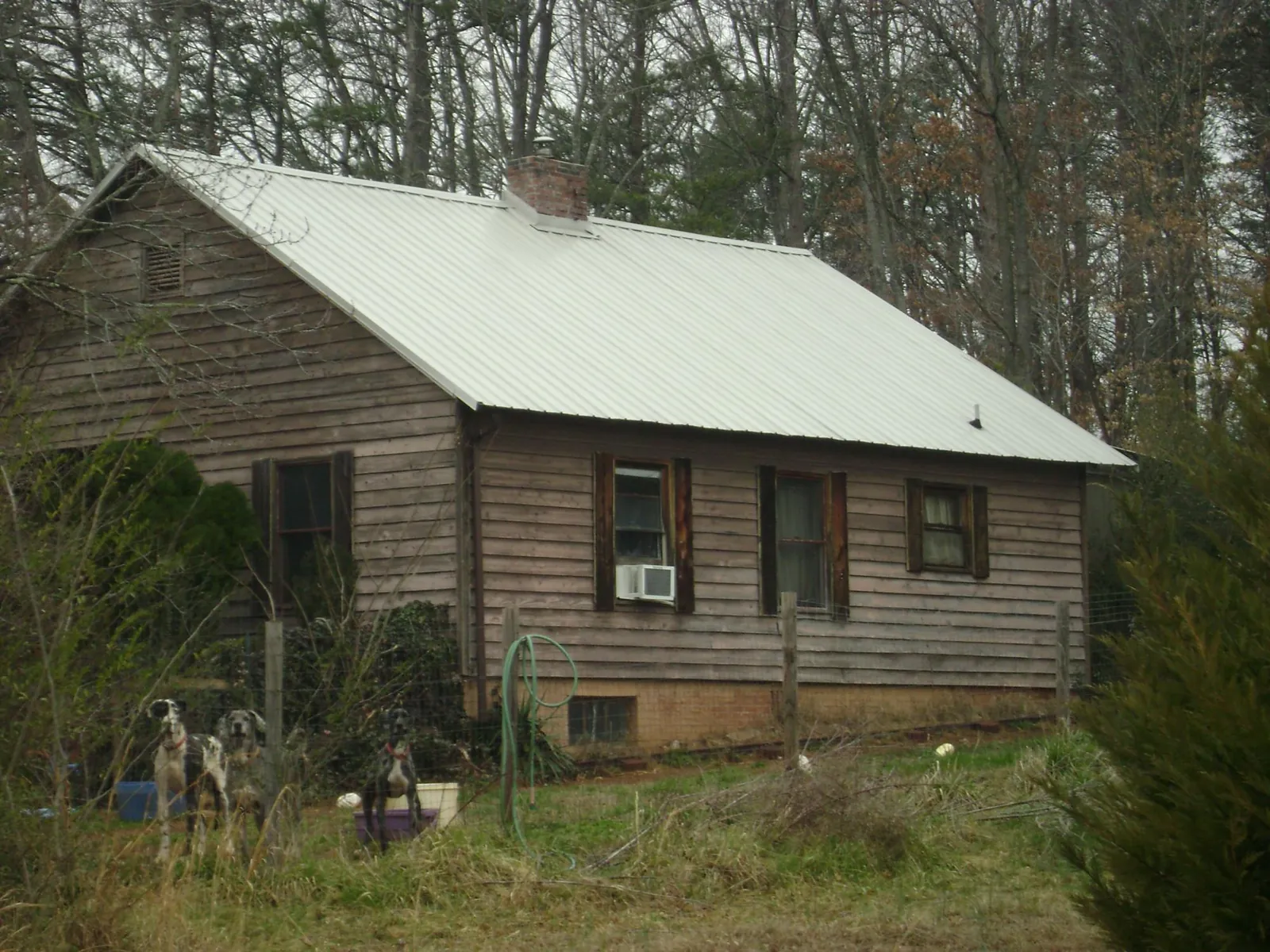 White metal roof on an old wood sided farmhouse, from a Metal Roof Installation job in Angels Camp